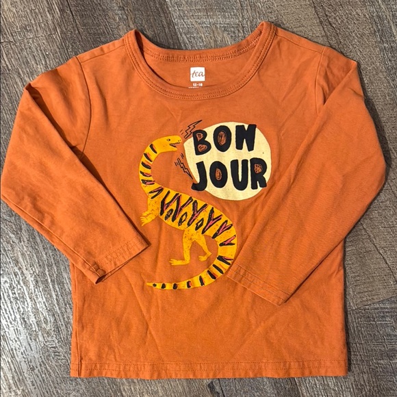 Tea Collection Other - Tea Collection 100% Cotton Long Sleeve 2-Way Graphic Tee w/ Dinosaur Print